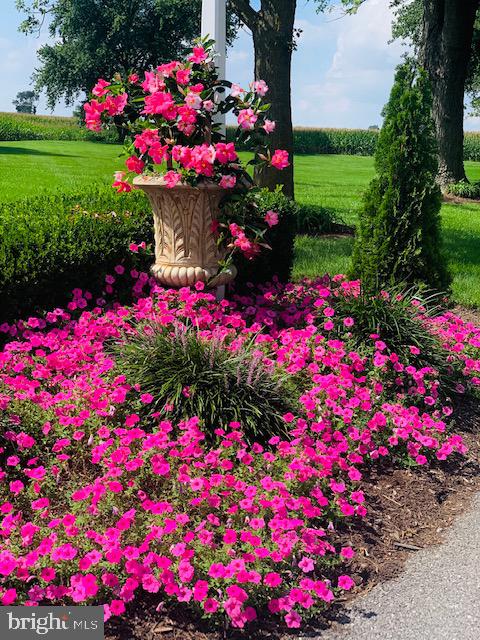 871 Bossler Road Elizabethtown, PA 17022 - Photo 12 of 80 Gallery Image 12