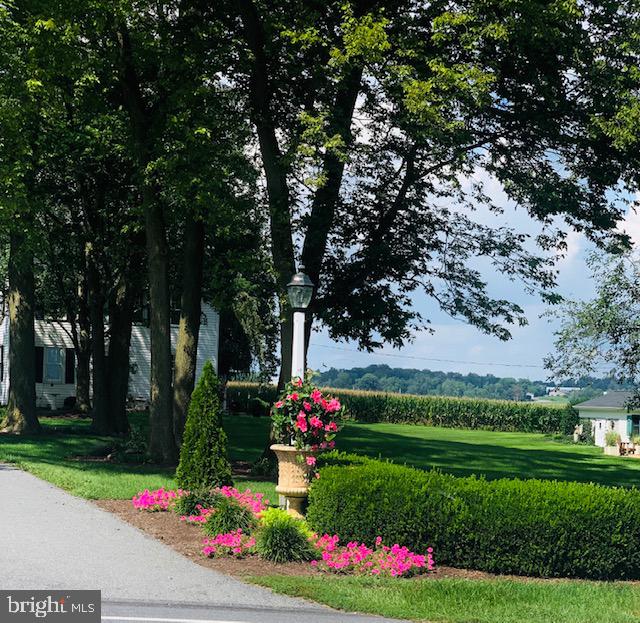 871 Bossler Road Elizabethtown, PA 17022 - Photo 13 of 80 Beautiful spring time flowers