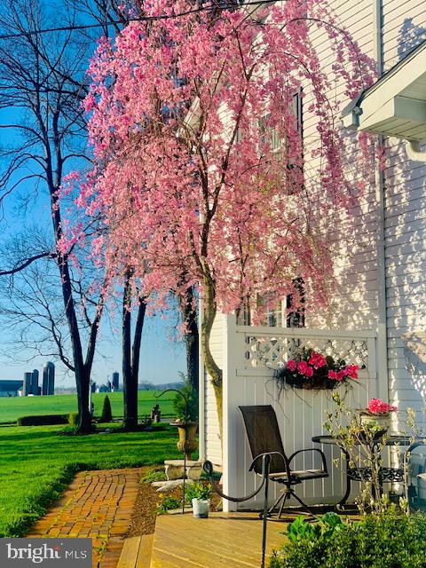 871 Bossler Road Elizabethtown, PA 17022 - Photo 7 of 80 Beautiful spring time blooms