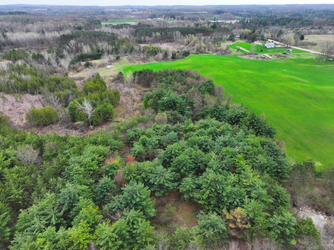 8.5 A 18 Mile Road Morley, MI 49336 - Photo 10 of 23