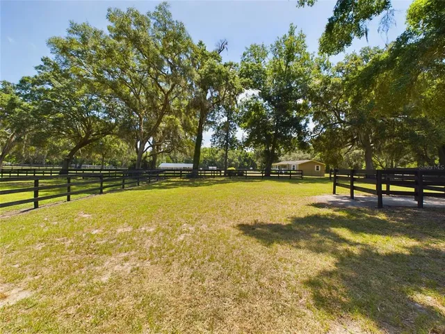 a view of swimming pool with trees