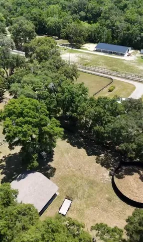 a view of a swimming pool with a yard and large trees