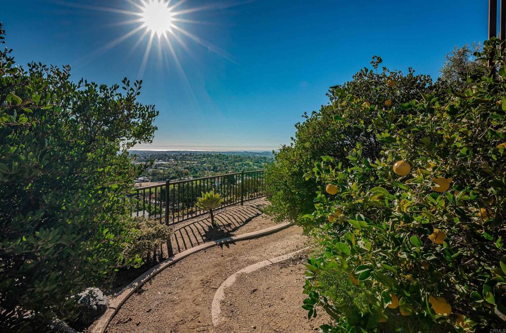 2362 Edgehill Road Vista, CA 92084 - Photo 52 of 63 a view of a pathway with a yard
