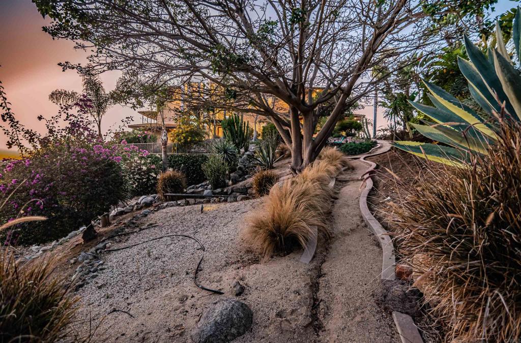 2362 Edgehill Road Vista, CA 92084 - Photo 61 of 63 a view of a yard with a tree