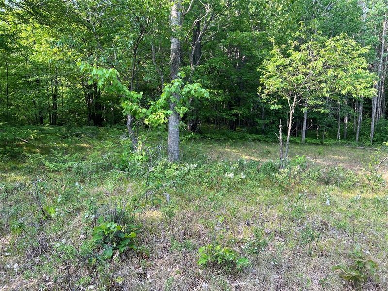 47 South 47 3/4 Road Cadillac, MI 49601 - Photo 31 of 59