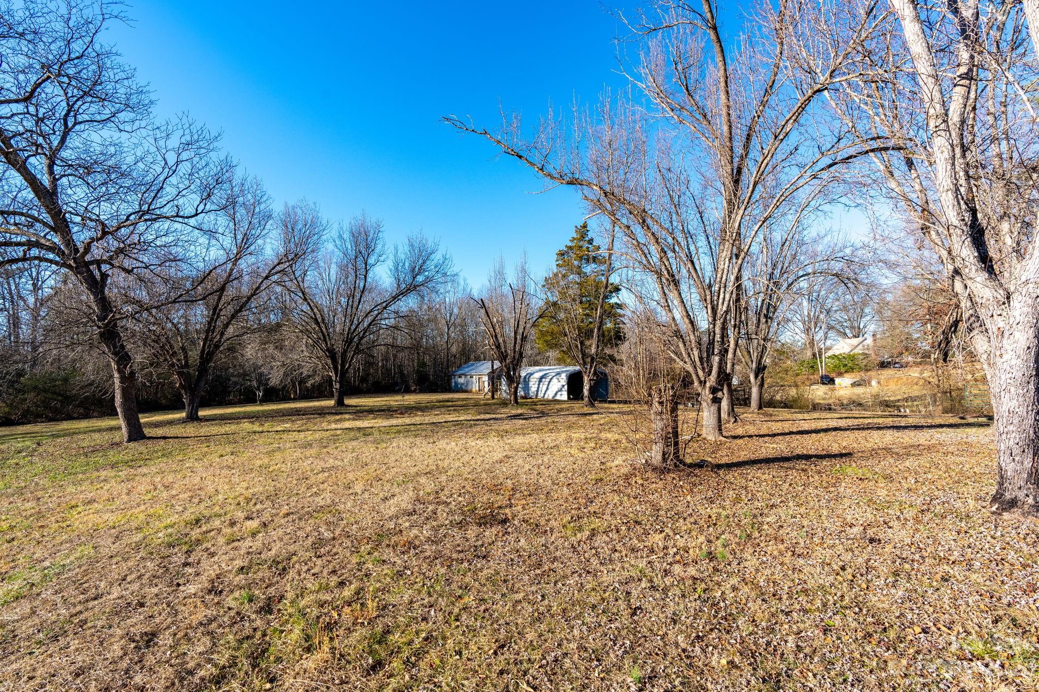 215 Cape Hickory Road Hickory, NC 28601 - Photo 28 of 34 a tree is standing in the yard