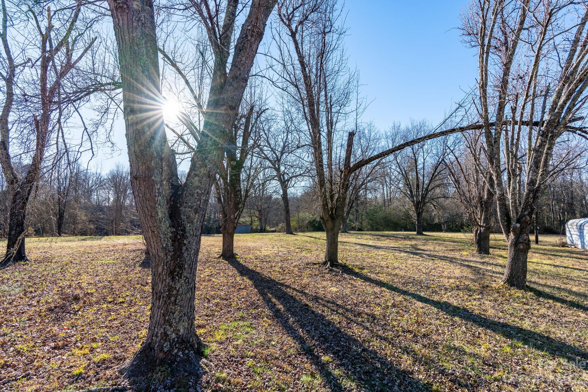 215 Cape Hickory Road Hickory, NC 28601 - Photo 30 of 34 a view of a yard with snow on the road
