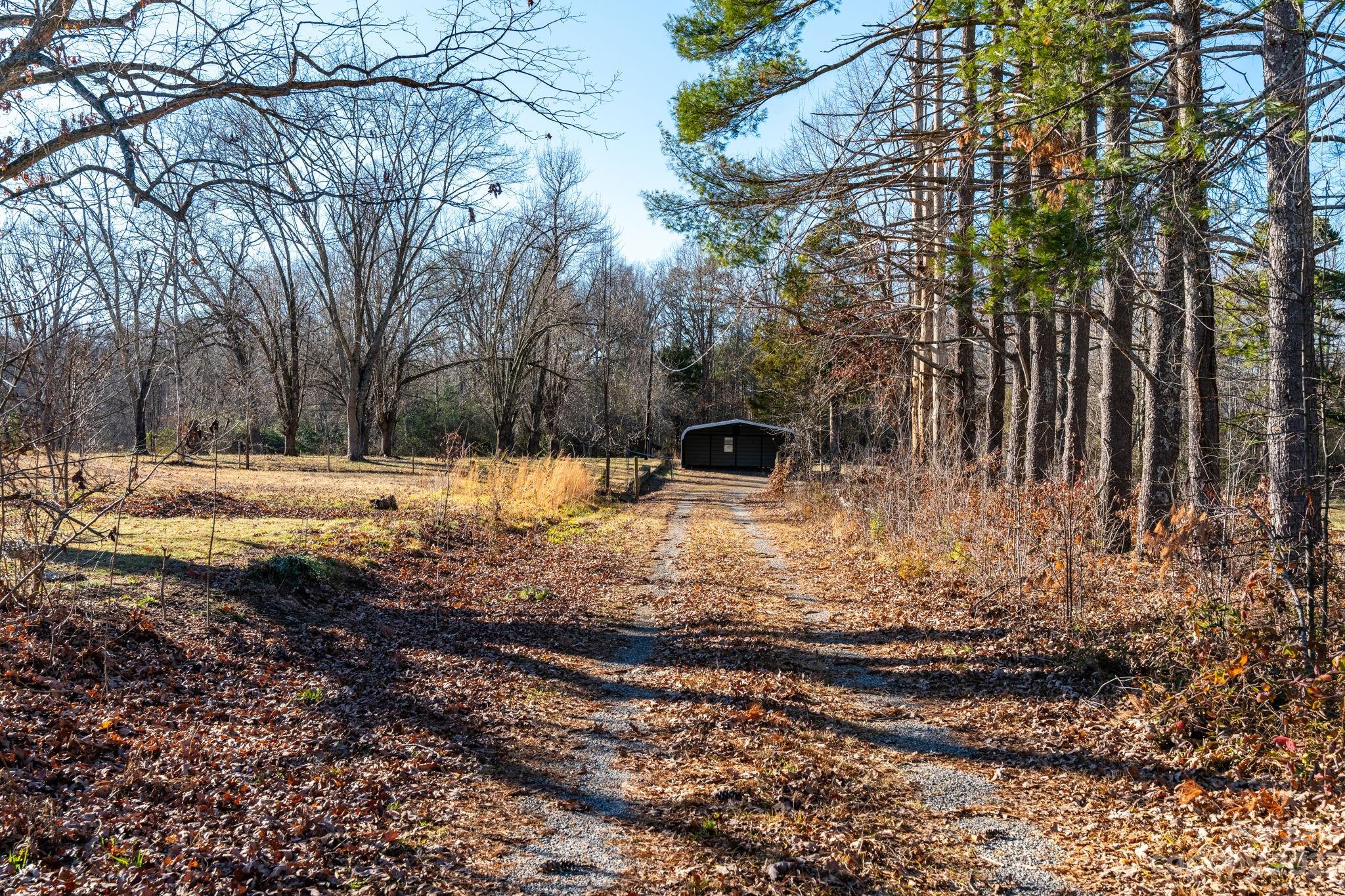 215 Cape Hickory Road Hickory, NC 28601 - Photo 3 of 34 a view of a yard with a tree