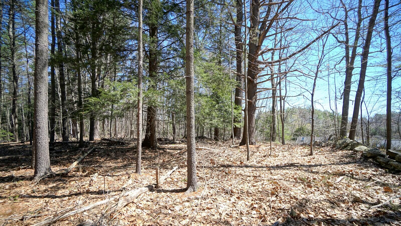 172 B Middle Road Cumberland Center, ME 04021 - Photo 8 of 9 83