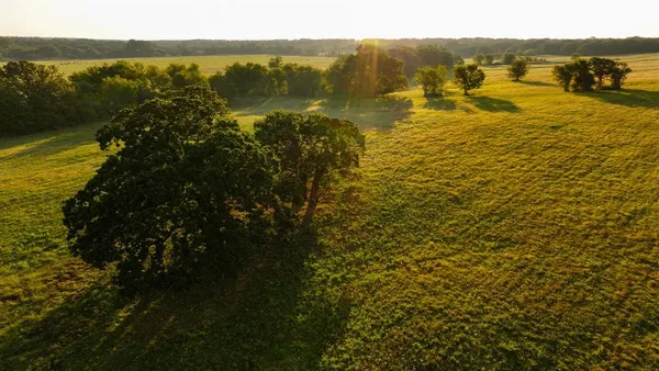 an aerial view of a backyard