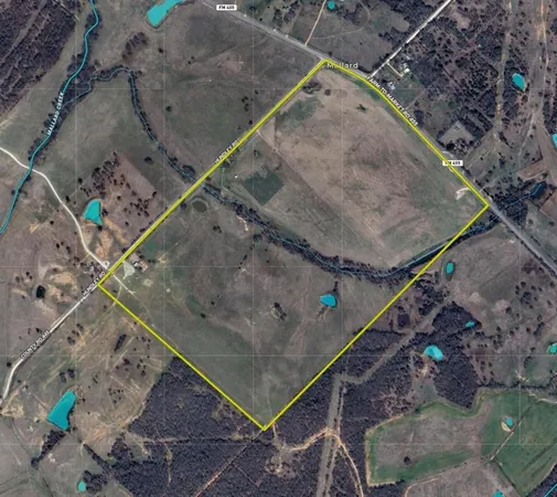 a view of a tree in a yard