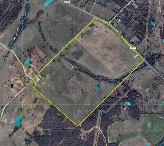 a view of a tree in a yard