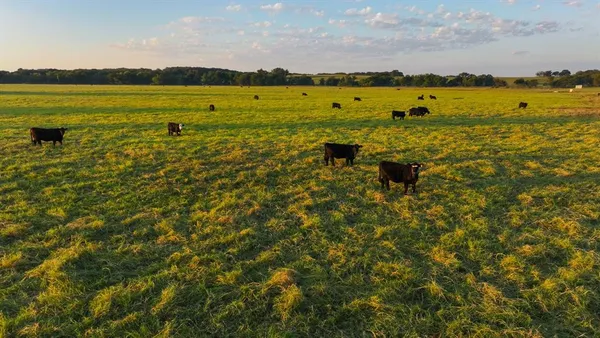 a view of an ocean view