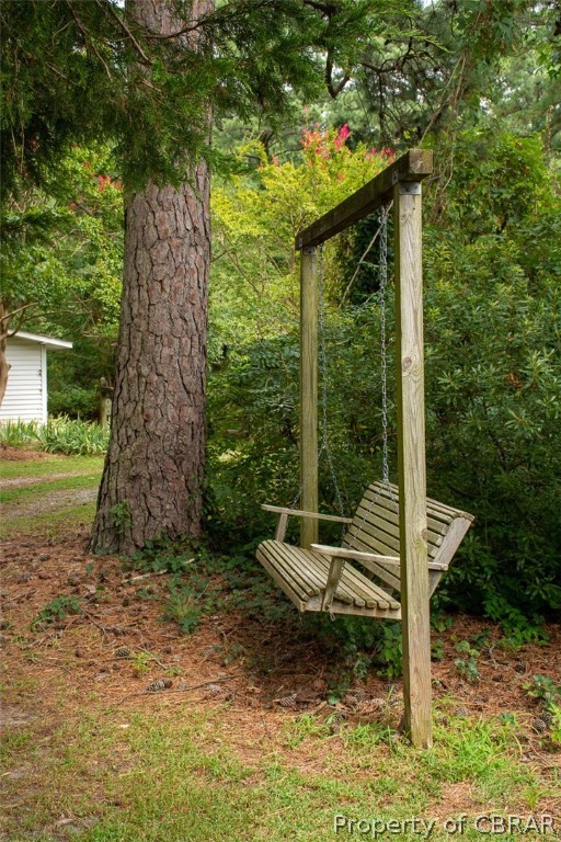 368 Risby Town Road Hudgins, VA 23076 - Photo 35 of 49 A swing in time...a delightful place to swing and watch everyone enjoy the yard!