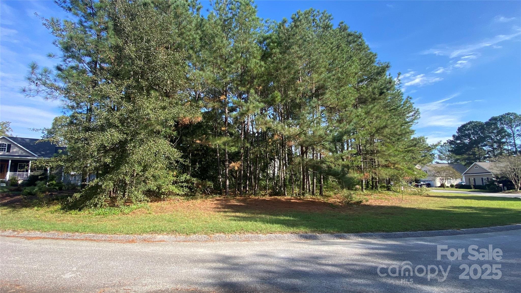 126 Meadow Trace Court Aiken, SC 29805 - Photo 2 of 9 a view of a yard