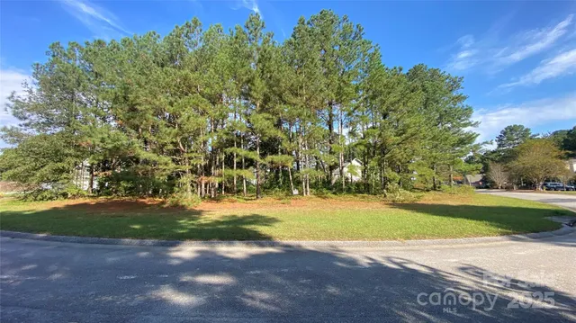 a view of yard with green space