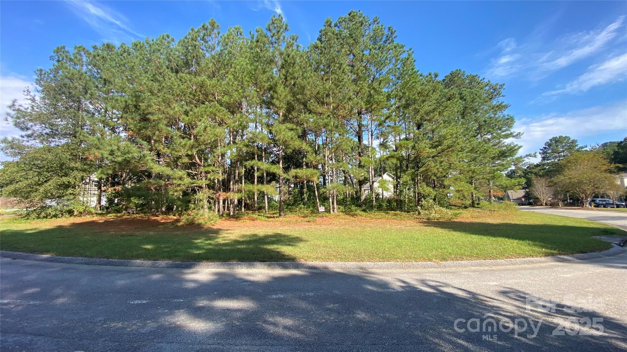 126 Meadow Trace Court Aiken, SC 29805 - Photo 4 of 9 a view of a yard with a tree