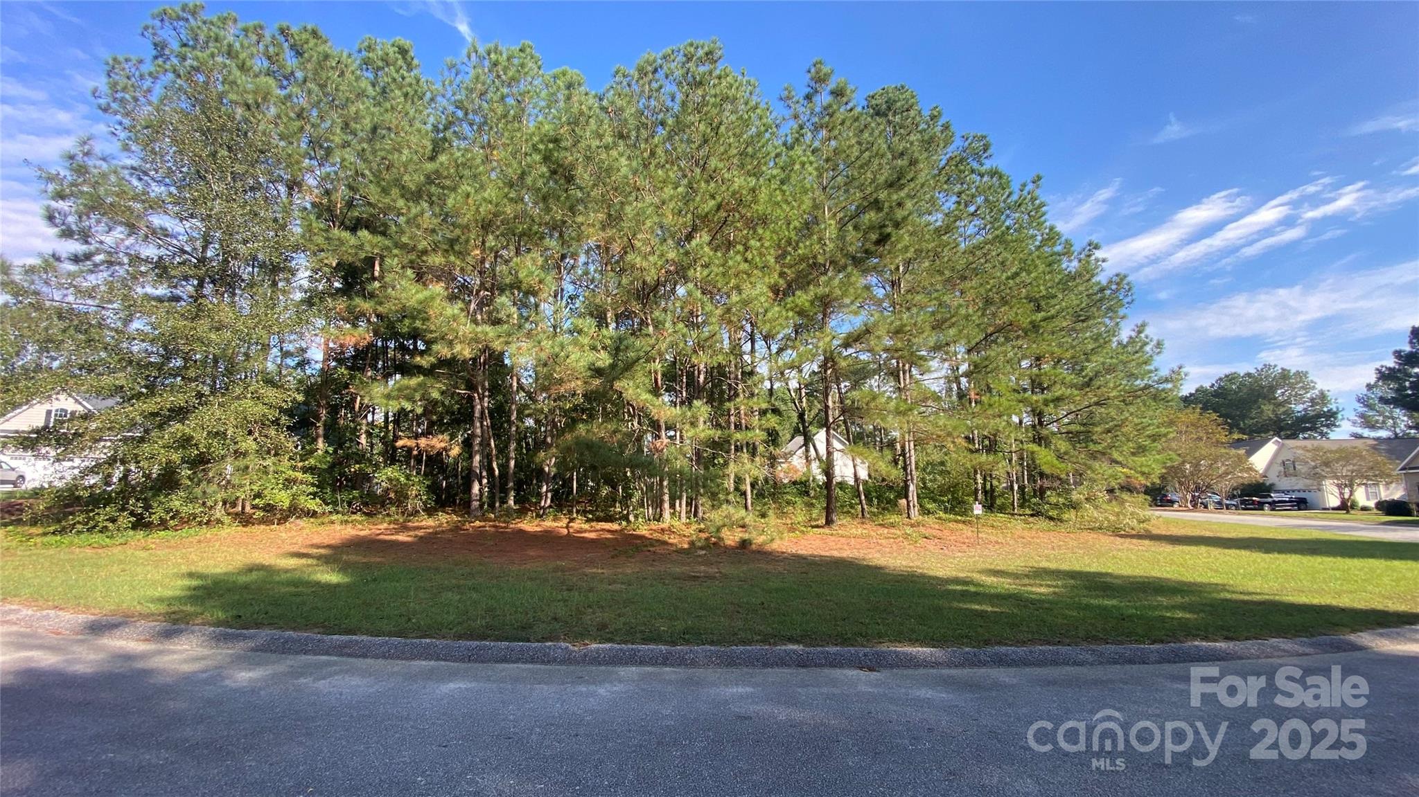 126 Meadow Trace Court Aiken, SC 29805 - Photo 5 of 9 a view of yard with green space