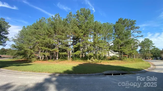 a view of a playground area