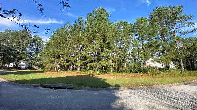 a view of backyard with green space