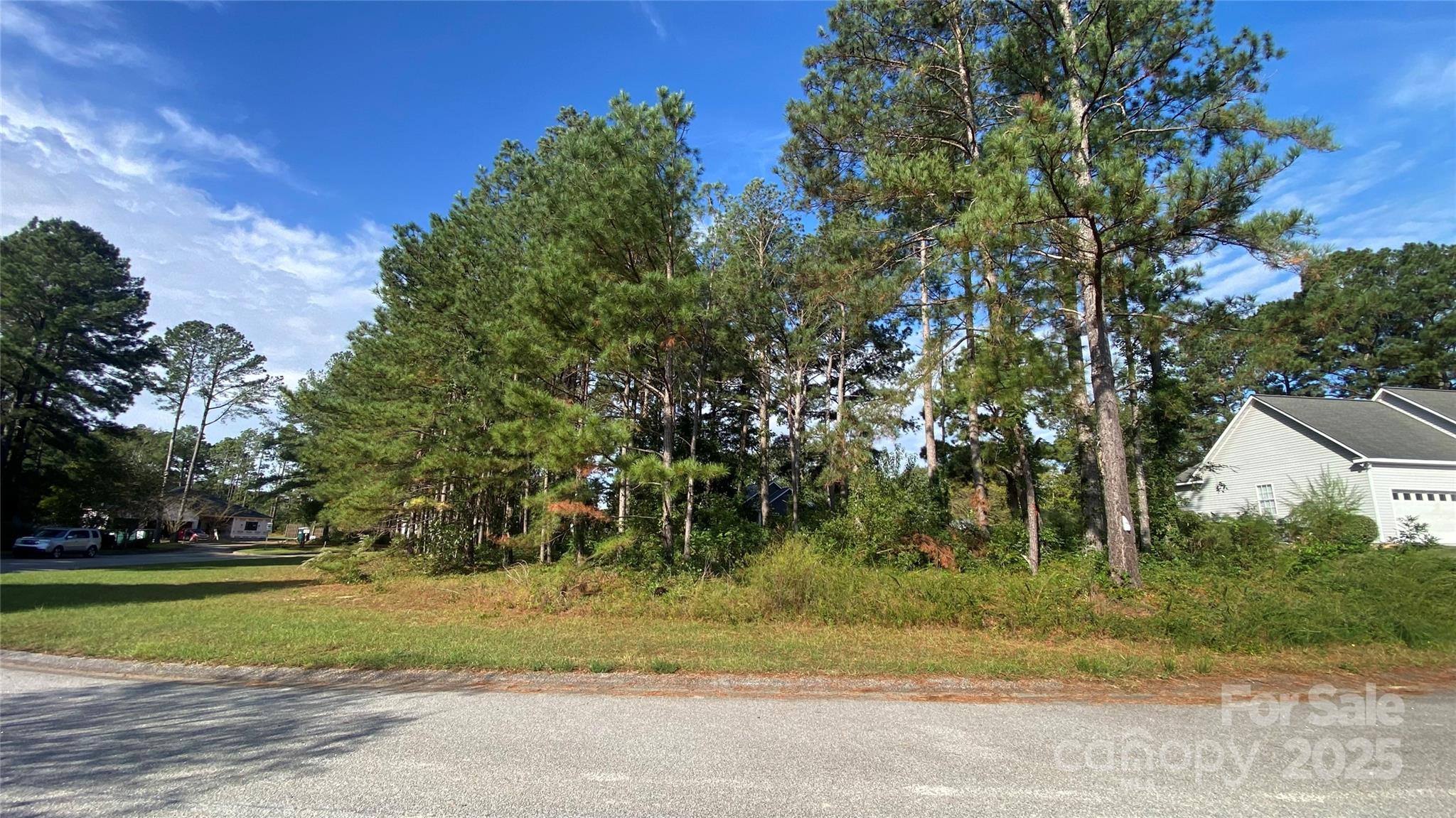 126 Meadow Trace Court Aiken, SC 29805 - Photo 8 of 9 a view of backyard with green space