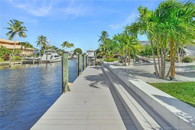 a view of a park with plants and trees