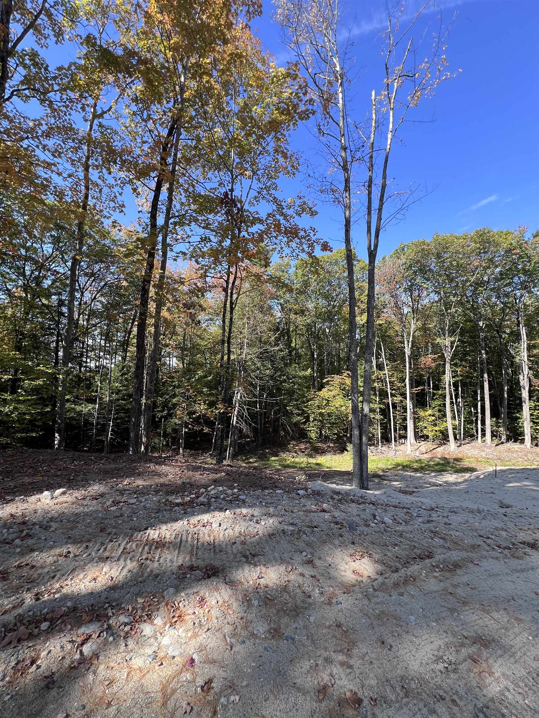 22 Ledge Hill Road Tuftonboro, NH 03816 - Photo 7 of 19 Gallery Image 7