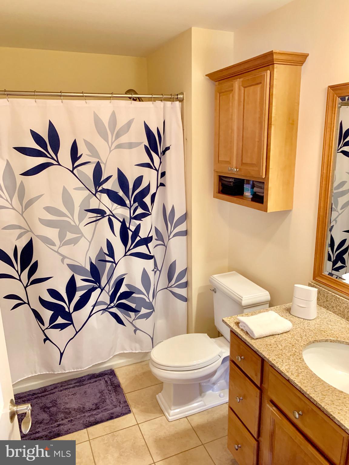 3662 Galloway Road Baltimore, MD 21220 - Photo 49 of 86