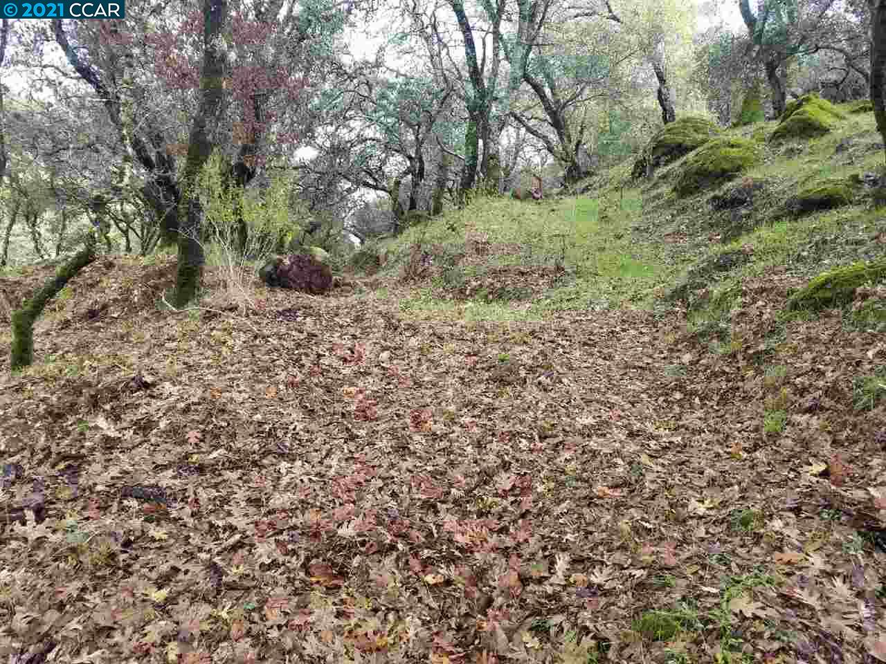 1424 Rockville Road Fairfield, CA 94534 - Photo 2 of 28 a view of a yard with a tree
