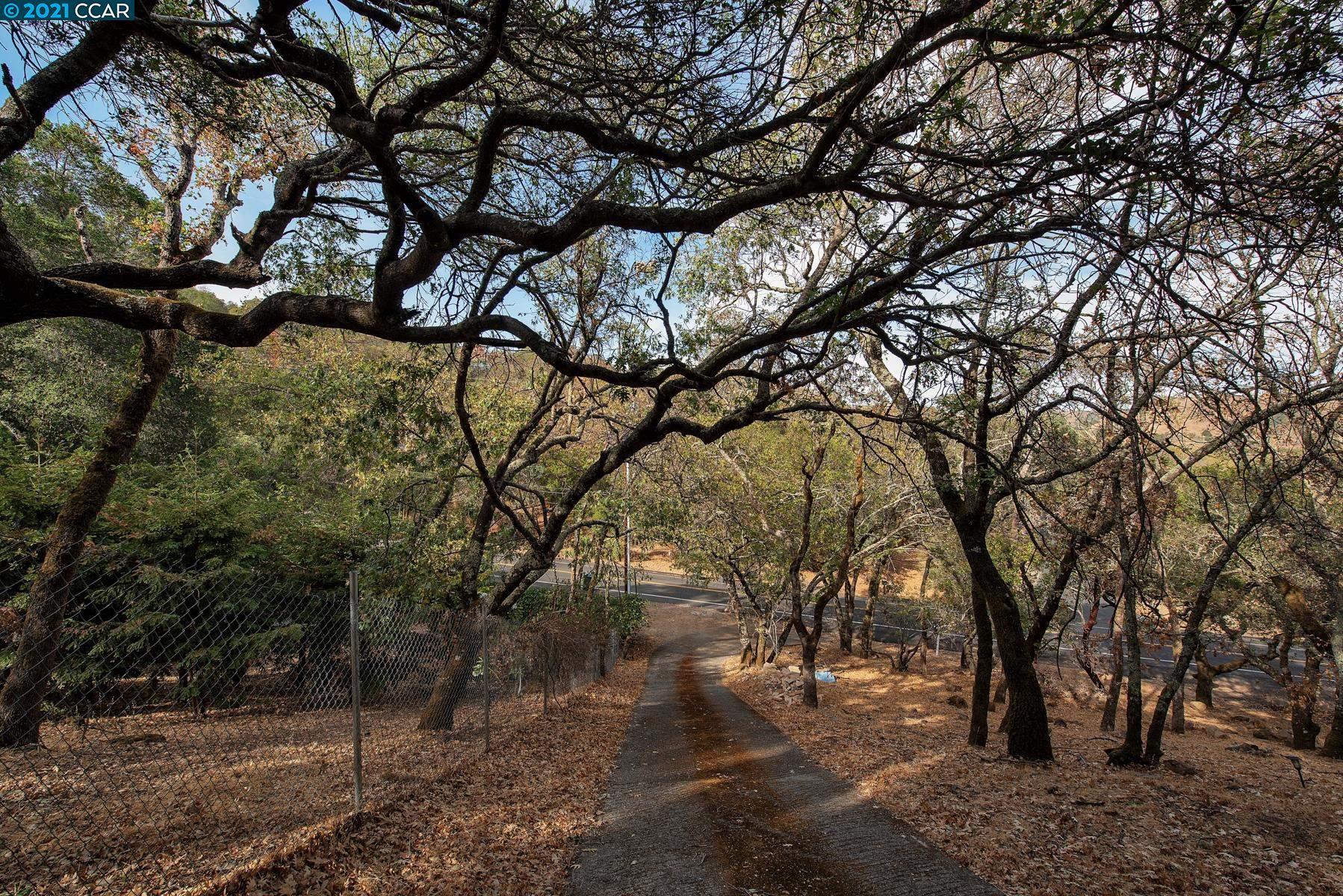 1424 Rockville Road Fairfield, CA 94534 - Photo 12 of 28 a backyard of a house with lots of green space