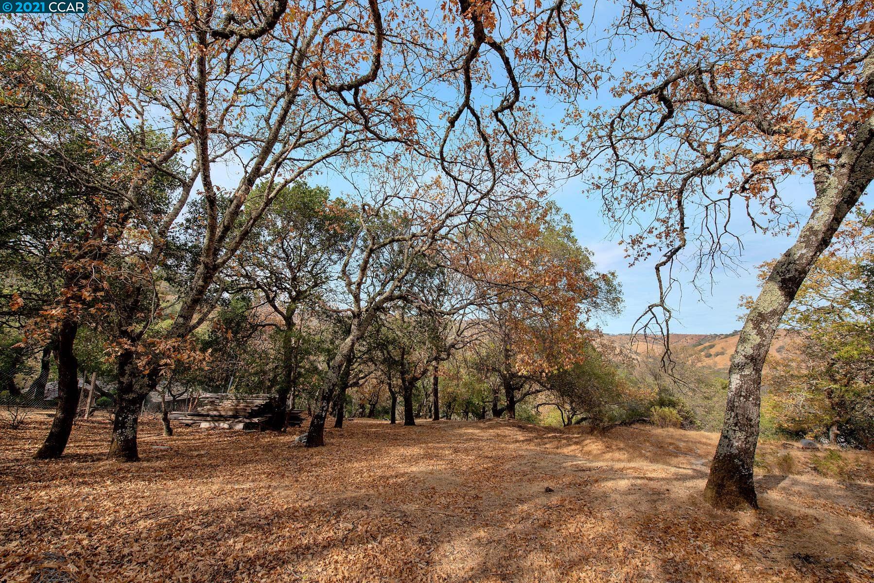 1424 Rockville Road Fairfield, CA 94534 - Photo 17 of 28 a view of outdoor space with trees