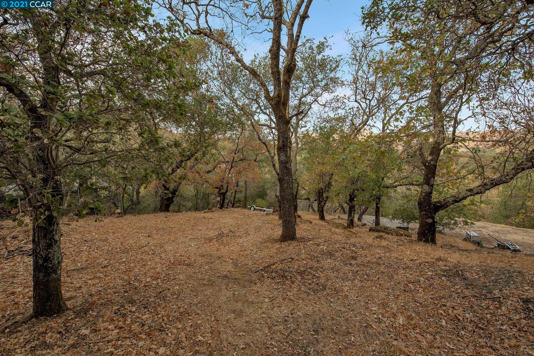 1424 Rockville Road Fairfield, CA 94534 - Photo 19 of 28 a view of empty trees and covered with green space