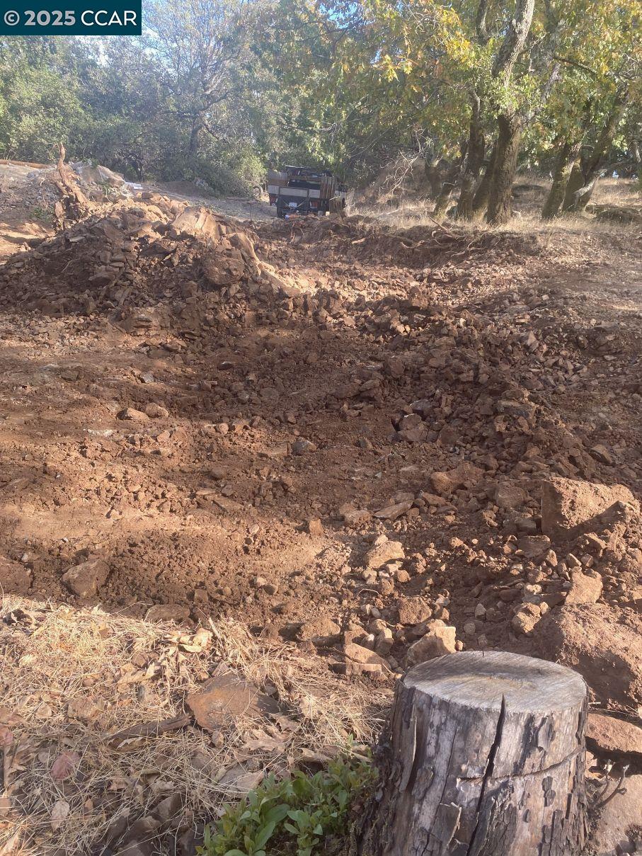 1424 Rockville Road Fairfield, CA 94534 - Photo 25 of 28 a view of a yard with a tree