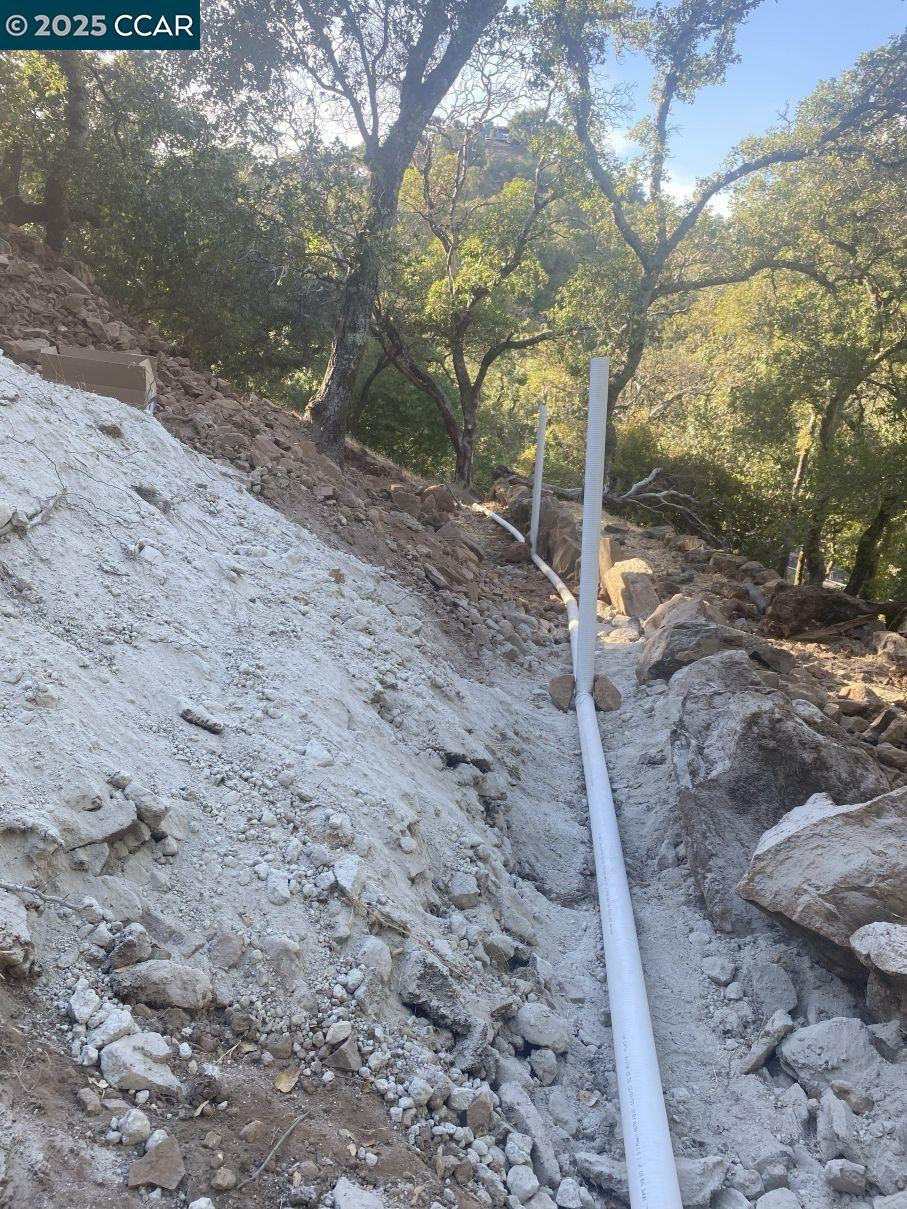 1424 Rockville Road Fairfield, CA 94534 - Photo 28 of 28 a view of a backyard with large trees