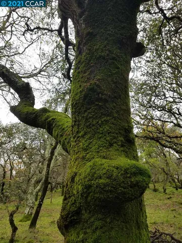 $320,000 | 1424 Rockville Road, Fairfield, CA 94534