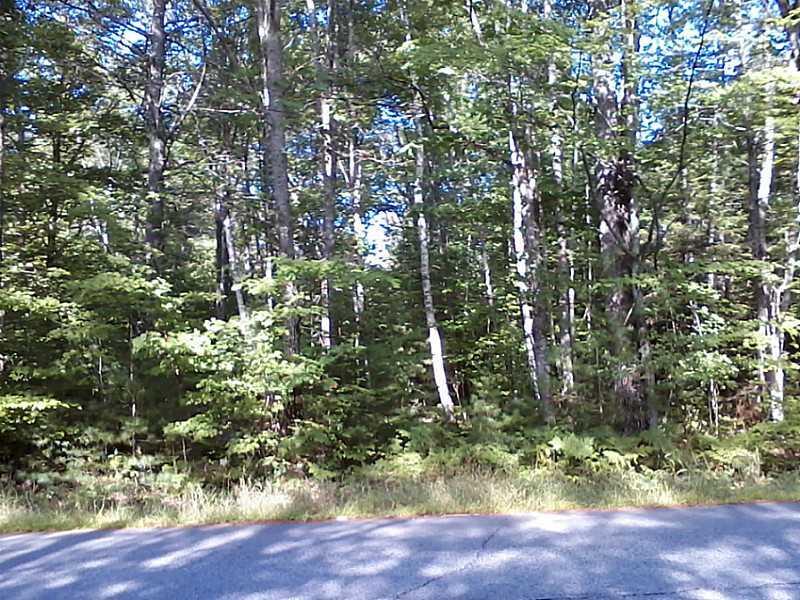 Lot 3.06 Lewis Road Naples, ME 04055 - Photo 8 of 8 Land/Lot.