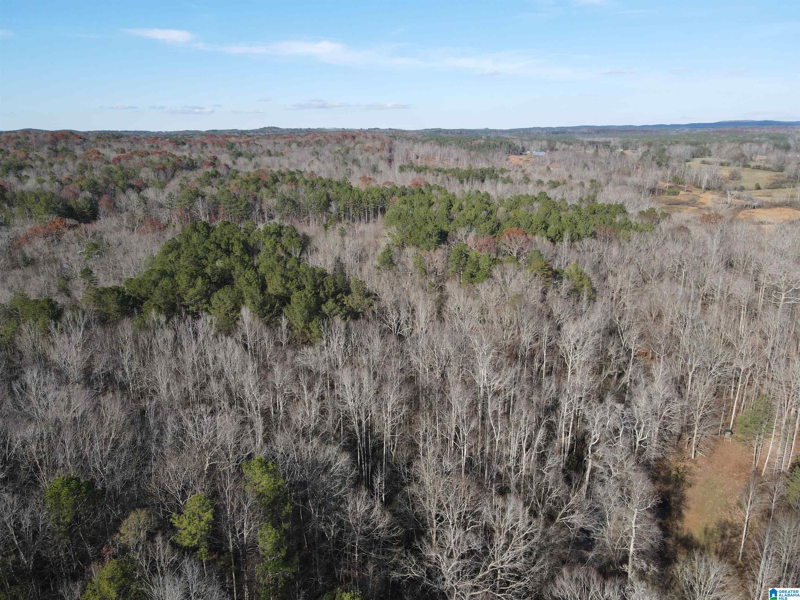 0 County Road 208 Heflin, AL 36264 - Photo 6 of 10