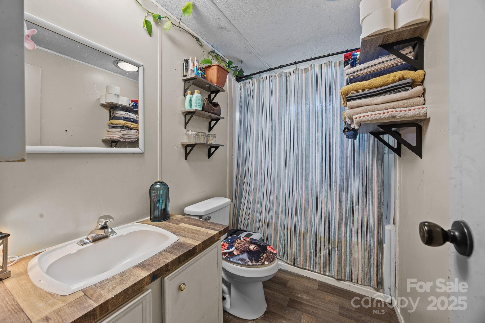 3178 Foxford Road Concord, NC 28025 - Photo 24 of 48 a bathroom with a sink toilet and mirror
