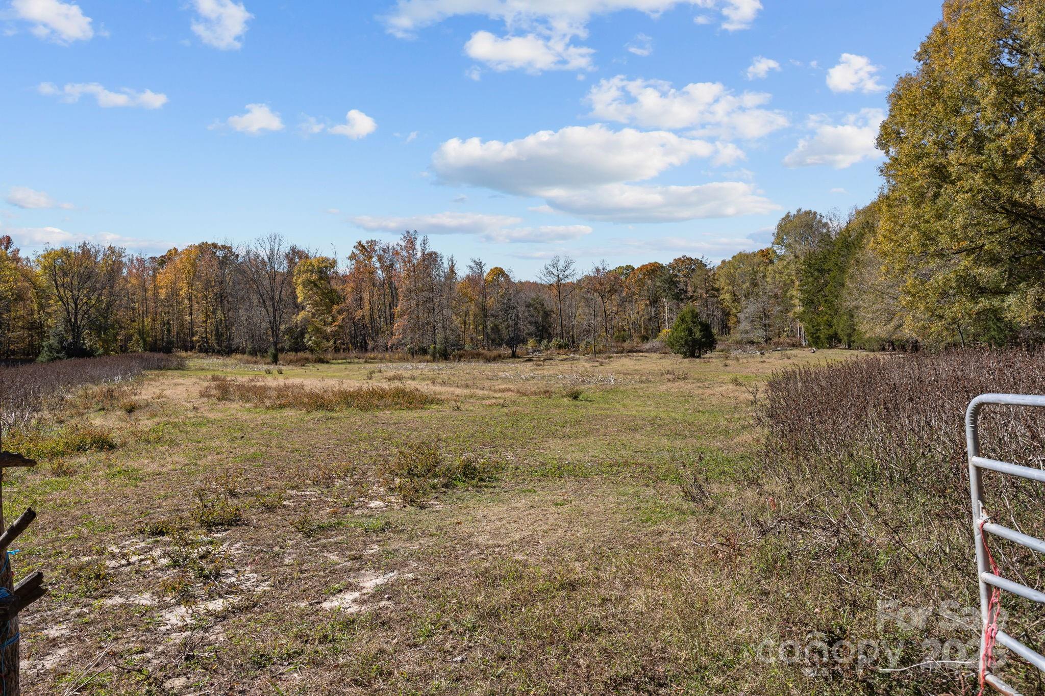 3178 Foxford Road Concord, NC 28025 - Photo 37 of 48 a view of a field with trees in the background