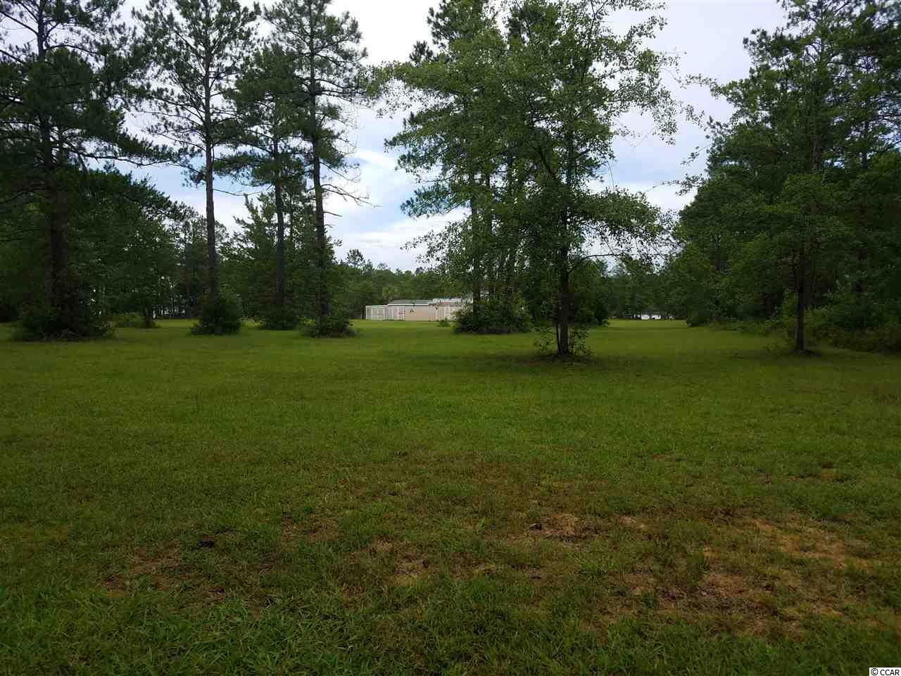 1016 Day Star Way Loris, SC 29569 - Photo 3 of 25 Gallery Image 3