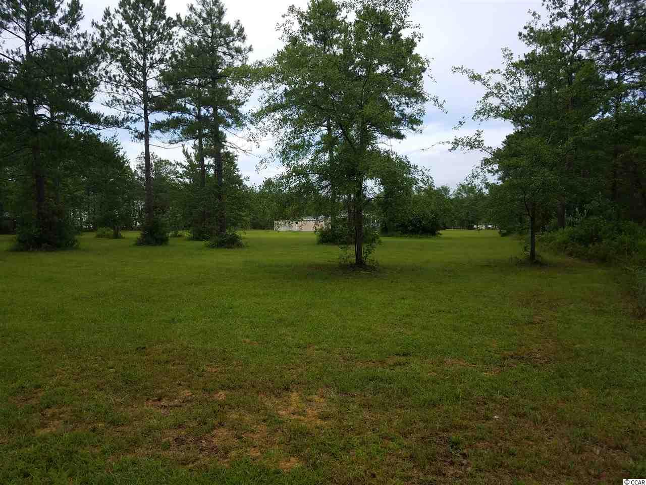 1016 Day Star Way Loris, SC 29569 - Photo 7 of 25 Gallery Image 7