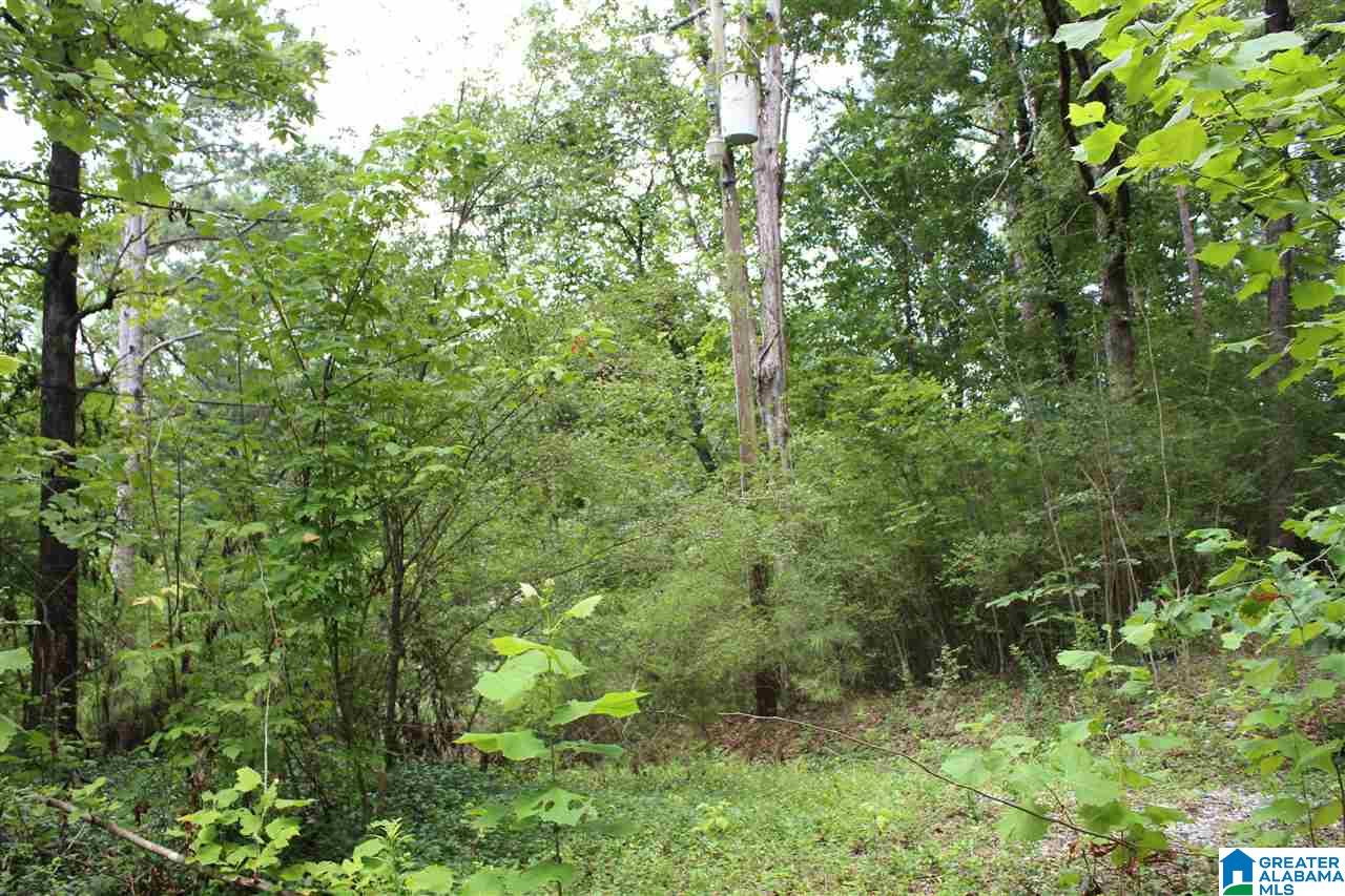 Mae Drive Alabaster, AL 35007 - Photo 5 of 6