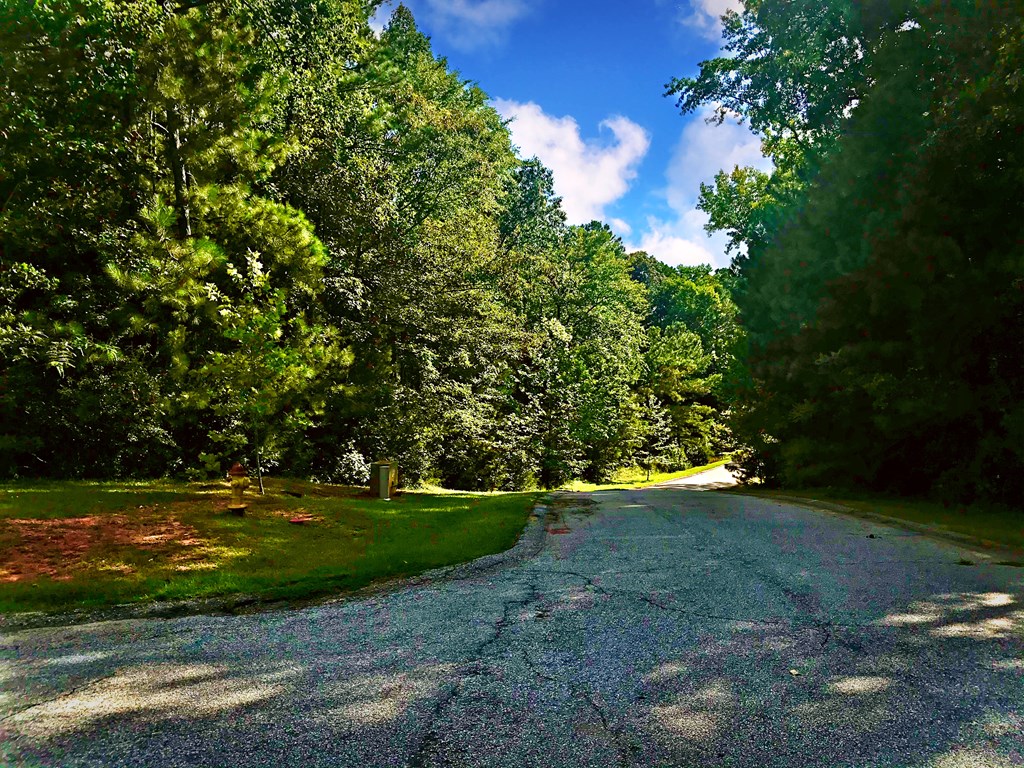 114 Friendfield Lane Greenwood, SC 29649 - Photo 2 of 3 Gallery Image 2