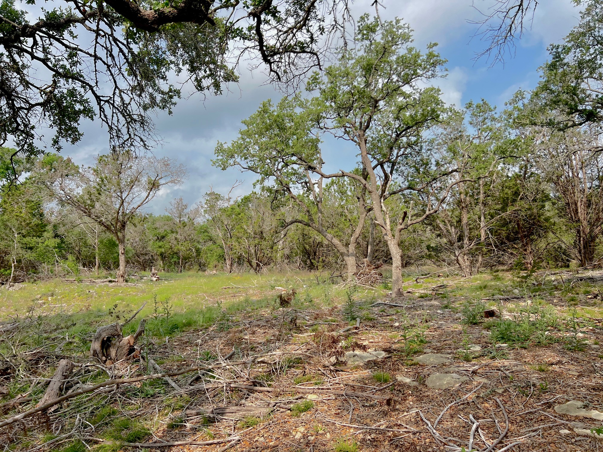 1366 E Narrows Road Blanco, TX 78606 - Photo 11 of 18