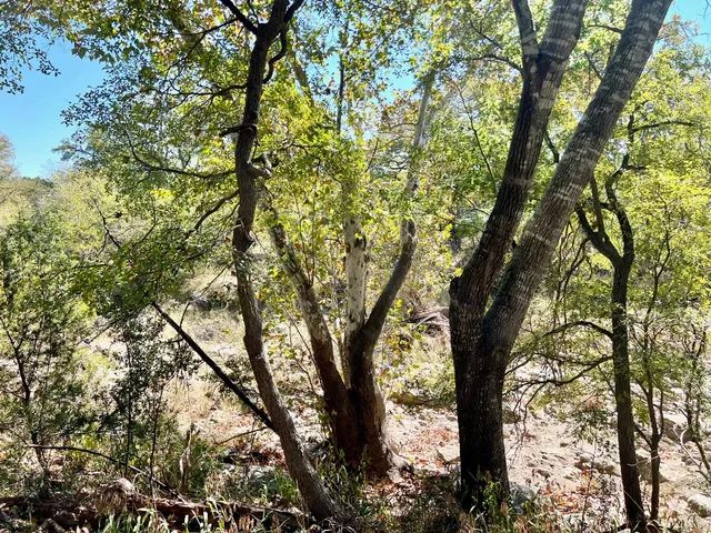 $898,000 | 1366 E Narrows Road, Blanco, TX 78606