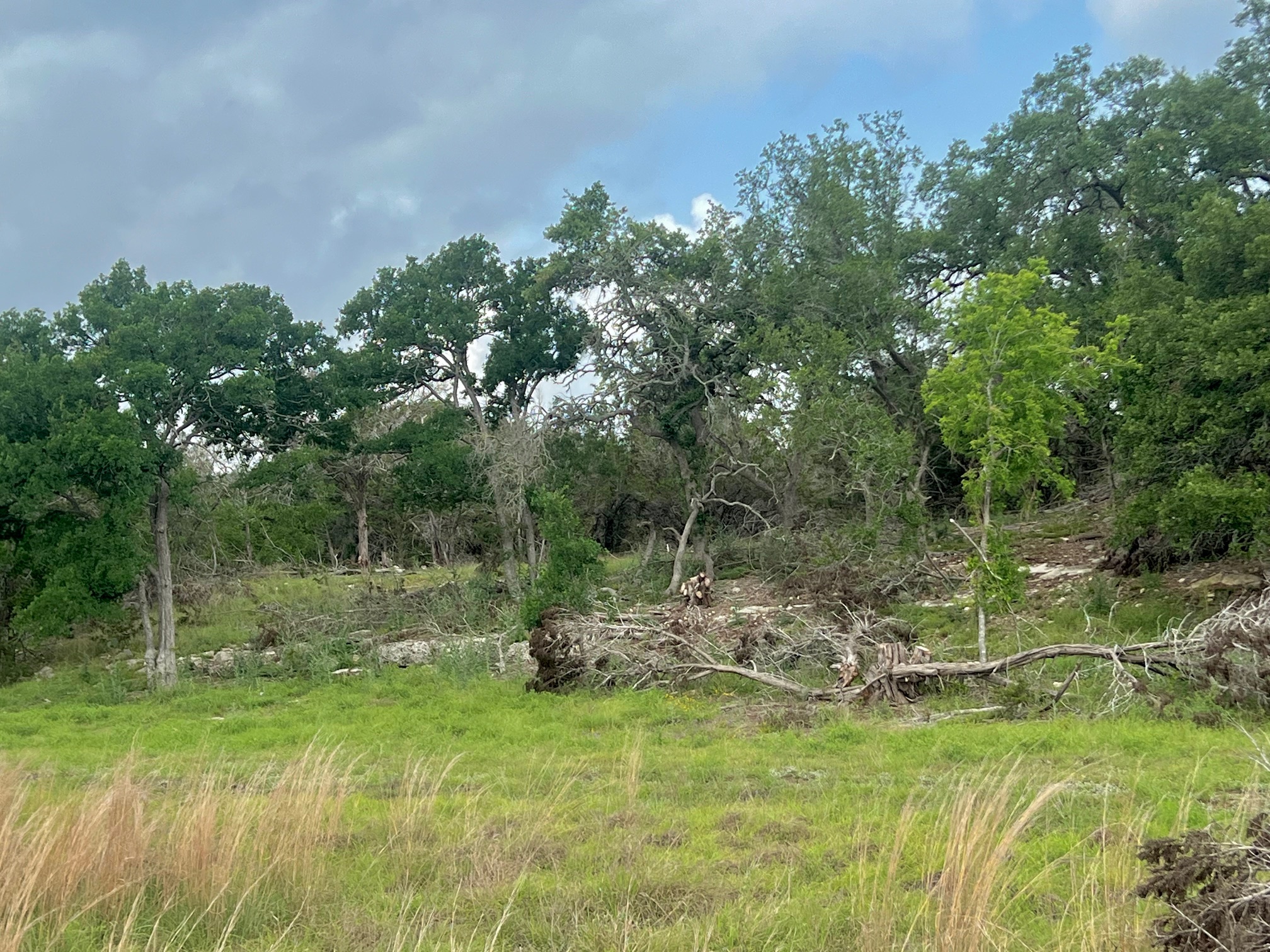 1366 E Narrows Road Blanco, TX 78606 - Photo 18 of 18