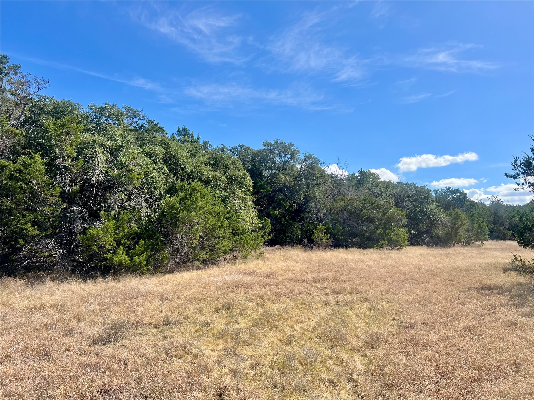 1366 E Narrows Road Blanco, TX 78606 - Photo 4 of 18