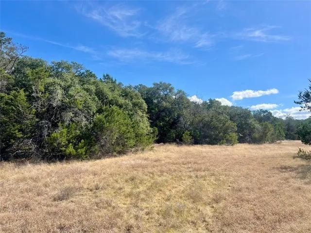 $898,000 | 1366 E Narrows Road, Blanco, TX 78606