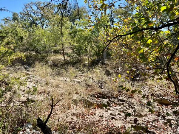 a view of a yard with a tree