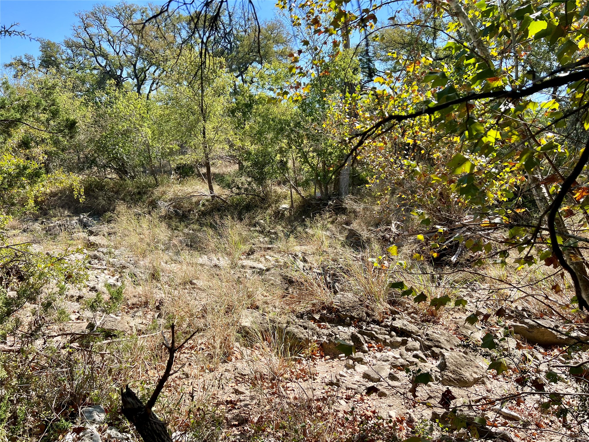 1366 E Narrows Road Blanco, TX 78606 - Photo 6 of 18 river lot